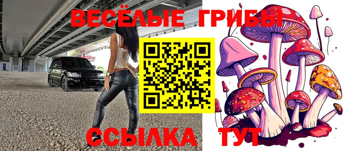 Псилоцибиновые грибы Psilocybine cubensis  Вход с VPN  Острогожск 